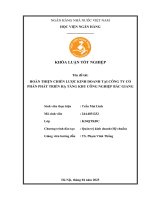 Khóa luận tốt nghiệp Quản trị kinh doanh: Hoàn thiện chiến lược kinh doanh tại Công ty cổ phần Phát triển Hạ tầng KCN Bắc Giang