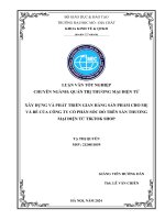 Xây dựng và phát triển gian hàng sản phẩm cho mẹ và bé của công ty cổ phần sóc Đỏ trên sàn thương mại Điện tử tiktok shop