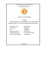 Khóa luận tốt nghiệp Kinh tế đầu tư: Phân tích hiệu quả tài chính Dự án xây dựng Khu đô thị Tiền Phong của CTCP Phát triển đô thị Tiên Dương