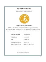Khóa luận tốt nghiệp Quản trị kinh doanh: Giải pháp nâng cao chất lượng dịch vụ Marketing Pro của Công ty Cổ phần Nuy Corporation