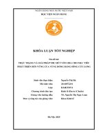 Khóa luận tốt nghiệp Kinh tế đầu tư: Thực trạng và giải pháp thu hút vốn ODA cho mục tiêu phát triển bền vững của vùng Đồng bằng sông Cửu Long