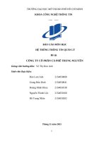 Báo cáo môn học hệ thống thông tin quản lý Đề tài công ty cổ phần cà phê trung nguyên