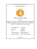 Khóa luận tốt nghiệp Quản trị kinh doanh: Nghiên cứu tác động của truyền miệng điện tử (eWOM) đến ý định sử dụng dịch vụ khách sạn của Công ty Cổ phần Tư vấn Đầu tư Bất động sản 22 Land