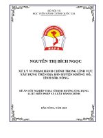 XỬ LÝ VI PHẠM HÀNH CHÍNH TRONG LĨNH VỰC XÂY DỰNG TRÊN ĐỊA BÀN HUYỆN KRÔNG NÔ, TỈNH ĐĂK NÔNG