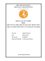 Khóa luận tốt nghiệp Quản trị kinh doanh: Nhân tố tác động đến sự hài lòng trong công việc của nhân viên Công ty CP TM & DV Tân Minh