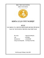 Khóa luận tốt nghiệp Ngân hàng: Tác động của chuyển đổi số đến rủi ro tín dụng tại các ngân hàng thương mại Việt Nam