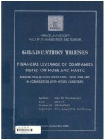 000042409 FINANCIAL LEVERAGE OF COMPANIES LISTED ON HOSE AND HASTCAN ANALYSIS ACROSS INDUSTRIES, OVER TIME AND IN COMPARISON WITH OTHER COUNTRIES 
