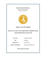 Khóa luận tốt nghiệp Ngân hàng: Các yếu tố tác động đến ý định sử dụng ngân hàng mở tại Việt Nam