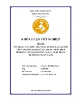 Khóa luận tốt nghiệp Ngân hàng: Tác động của tiêu thụ năng lượng tái tạo tới tăng trưởng kinh tế tại ASEAN: Phân tích mở rộng với ảnh hưởng của sự phát triển hệ thống ngân hàng