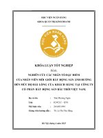 Khóa luận tốt nghiệp Quản trị kinh doanh: Nghiên cứu các nhân tố đặc điểm của nhân viên môi giới Bất động sản ảnh hưởng đến mức độ hài lòng của khách hàng tại Công ty Cổ phần Bất động sản Bầu Trời Việt Nam