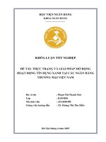 Khóa luận tốt nghiệp Ngân hàng: Thực trạng và giải pháp mở rộng hoạt động tín dụng xanh tại các ngân hàng thương mại Việt Nam