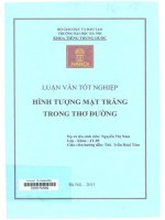 000074339 HÌNH TƯỢNG MẶT TRĂNG TRONG THƠ ĐƯỜNG