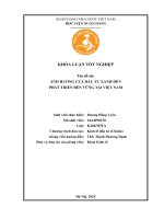 Khóa luận tốt nghiệp Kinh tế đầu tư: Ảnh hưởng của đầu tư xanh đến phát triển bền vững tại Việt Nam