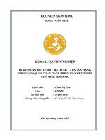 Khóa luận tốt nghiệp Ngân hàng: Quản trị rủi ro tín dụng tại Ngân hàng Thương mại cổ phần Phát triển thành phố Hồ Chí Minh HDBank