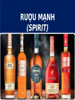 Bài Giảng - Rượu Mạnh  - SPIRIT