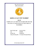 Khóa luận tốt nghiệp Ngân hàng: Nghiên cứu các nhân tố tác động đến mức độ hài lòng của khách hàng sử dụng SeaMobile