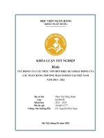 Khóa luận tốt nghiệp Ngân hàng: Tác động của cấu trúc vốn đến hiệu quả hoạt động của các ngân hàng thương mại cổ phần tại Việt Nam năm 2014 – 2024