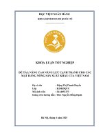 Khóa luận tốt nghiệp Kinh doanh quốc tế: Nâng cao năng lực cạnh tranh cho các mặt hàng nông sản xuất khẩu của Việt Nam
