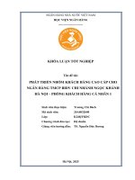 Khóa luận tốt nghiệp Quản trị kinh doanh: Phát triển nhóm khách hàng cao cấp cho Ngân hàng TMCP BIDV chi nhánh Ngọc Khánh Hà Nội – Phòng Khách hàng Cá nhân 1