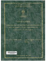 000091346 TESI DI LAUREA APPLICAZIONE DEL METODO DI SEMPLIFICAZIONE NELL'INTERPRETAZIONE-TRADUZIONE TRA L'ITALIANO AND IL VIETNAMITA