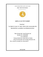 Khóa luận tốt nghiệp Kinh tế đầu tư: Vai trò của đầu tư trực tiếp nước ngoài đối với thị trường lao động Hải Dương