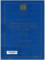 000091396 BAD DEBTS RESOLUTION IN VIETNAM BANKING SYSTEM QUANTITATIVE ANALYSIS AND AMCS MODEL (GIẢI QUYẾT NỢ XẤU TRONG HỆ THỐNG NGÂN HÀNG VIỆT NAM - PHÂN TÍCH ĐỊNH LƯỢNG VÀ MÔ HÌNH AMCS)