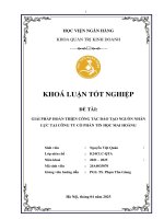 Khóa luận tốt nghiệp Quản trị kinh doanh: Giải pháp hoàn thiện công tác đào tạo nguồn nhân lực tại Công ty Cổ phần Tin học Mai Hoàng