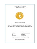 Khóa luận tốt nghiệp Ngân hàng: Tác động của biến đổi khí hậu đến sự ổn định tài chính của các ngân hàng thương mại tại Việt Nam