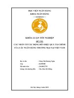 Khóa luận tốt nghiệp Ngân hàng: Các nhân tố tác động đến hiệu quả tài chính của các ngân hàng thương mại tại Việt Nam