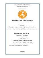 Khóa luận tốt nghiệp Kinh tế đầu tư: Các yếu tố ảnh hưởng đến việc thu hút vốn đầu tư trực tiếp nước ngoài tại các nước đang phát triển
