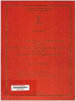 000087902 PHÂN TÍCH LỖI KHI SỬ DỤNG TRỢ TỪ CHỈ CÁCH CỦA NGƯỜI VIỆT HỌC TIẾNG NHẬT VÀ MỘT SỐ GIẢ PHÁP
