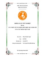 Khóa luận tốt nghiệp Ngân hàng: Các nhân tố tác động đến hiệu quả sinh lời của các NHTM Việt Nam