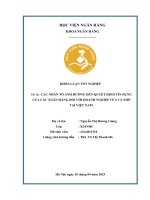 Khóa luận tốt nghiệp Ngân hàng: Các nhân tố ảnh hưởng đến quyết định tín dụng của các ngân hàng đối với doanh nghiệp vừa và nhỏ tại Việt Nam