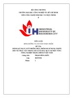 IUH - ĐÁNH GIÁ NGUY CƠ Ô NHIỄM THỰC PHẨM DO SỬ DỤNG THUỐC BẢO VỆ THỰC VẬT TRONG SẢN XUẤT RAU QUẢ TẠI MỘT VÙNG NÔNG NGHIỆP TRỌNG ĐIỂM Ở VIỆT NAM