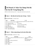 kế hoạch 11 tuần xây dựng não bộ cho em bé