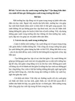 Vai trò của cây xanh trong trường học