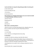 Đề cương ôn tập - Marketing số