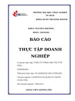 IUH - BCTT QTKD - CÔNG TY TNHH VẬN TẢI Ô TÔ VINA