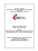 IUH - TIỂU LUẬN LUẬT DÂN SỰ - PHÂN TÍCH CÁC ĐIỀU KIỆN CÓ HIỆU LỰC CỦA GIAO DỊCH DÂN SỰ ? CHO VÍ DỤ MINH HỌA.