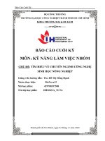 IUH - KỸ NĂNG LÀM VIỆC NHÓM - TÌM HIỂU VỀ CHUYÊN NGÀNH CÔNG NGHỆ SINH HỌC NÔNG NGHIỆP