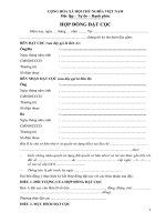 Mẫu hợp đồng đặt cọc mua nhà đất