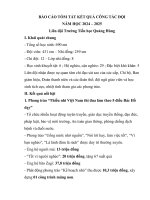 Báo cáo tóm tắt kết quả công tác Đội và dự thảo