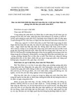 Báo cáo ngày hội Đ Đk