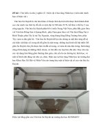 Cơ sở văn hóa Việt Nam