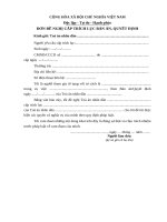 Mẫu Đơn Đề nghị cấp trích lục Bản án, Quyết định