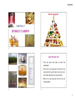 2025 ch17 carbohydrat