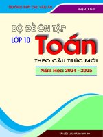 Bo de on tap mon toan 10 theo cau truc moi pham le duy