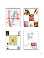 2025 ch 18 aminoacid