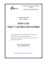 IUH - BCTT LOGISTICS VÀ QUẢN LÝ CHUỖI CUNG ỨNG - CÔNG TY CỔ PHẦN ĐẦU TƯ THÁI BÌNH