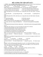 Đề cương giữa kì lớp 11